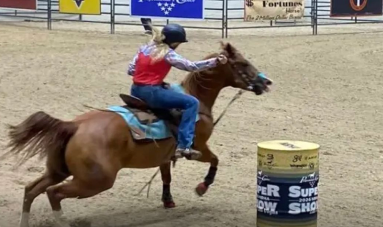 Emily Grace Las Vegas Incident What Is Known About the NBHA Horse Stabbing Case